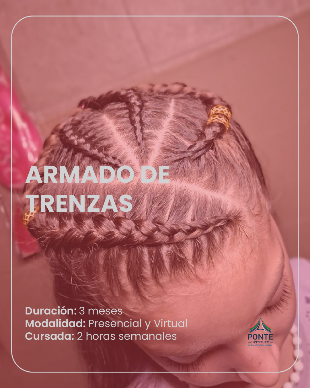 Armado de Trenzas (2 meses)